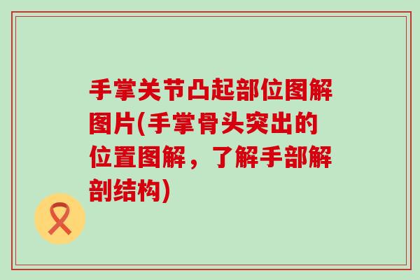 手掌关节凸起部位图解图片(手掌骨头突出的位置图解,了解手部解剖结构)-第1张图片-氨糖科普网 手掌关节凸起部位图解图片(手掌骨头突出的位置图解,了解手部解剖结构)-第1张图片-氨糖科普网