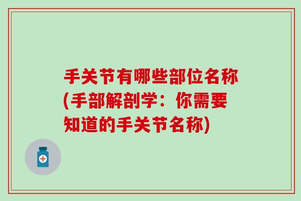 手关节有哪些部位名称(手部解剖学：你需要知道的手关节名称)-第1张图片-氨糖科普网