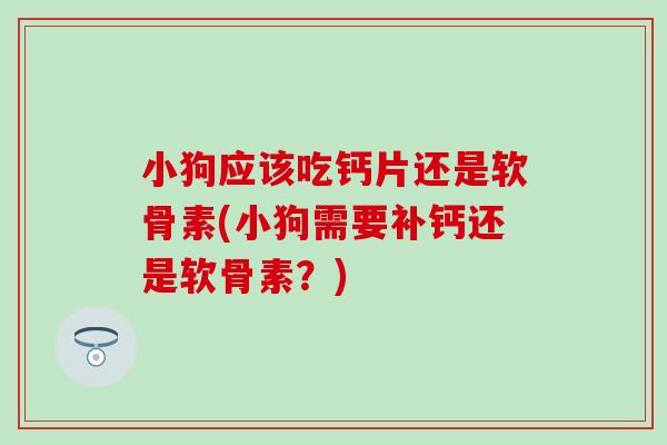 小狗应该吃钙片还是软骨素(小狗需要补钙还是软骨素？)-第1张图片-氨糖科普网
