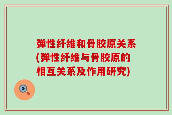 弹性纤维和骨胶原关系(弹性纤维与骨胶原的相互关系及作用研究)-第1张图片-氨糖科普网 弹性纤维和骨胶原关系(弹性纤维与骨胶原的相互关系及作用研究)-第1张图片-氨糖科普网