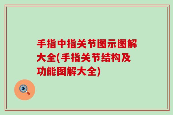 手指中指关节图示图解大全(手指关节结构及功能图解大全)-第1张图片-氨糖科普网 手指中指关节图示图解大全(手指关节结构及功能图解大全)-第1张图片-氨糖科普网