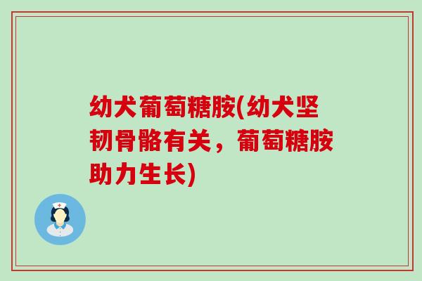 幼犬葡萄糖胺(幼犬坚韧骨骼有关,葡萄糖胺助力生长)-第1张图片-氨糖科普网 幼犬葡萄糖胺(幼犬坚韧骨骼有关,葡萄糖胺助力生长)-第1张图片-氨糖科普网