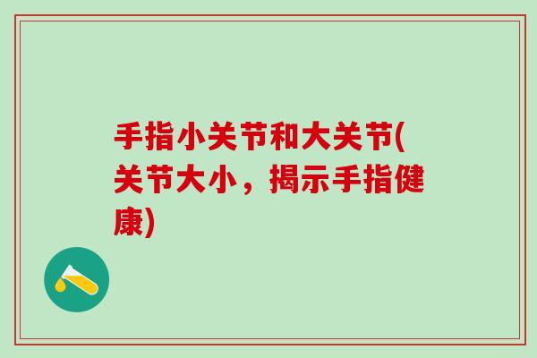 手指小关节和大关节(关节大小,揭示手指健康)-第1张图片-氨糖科普网 手指小关节和大关节(关节大小,揭示手指健康)-第1张图片-氨糖科普网