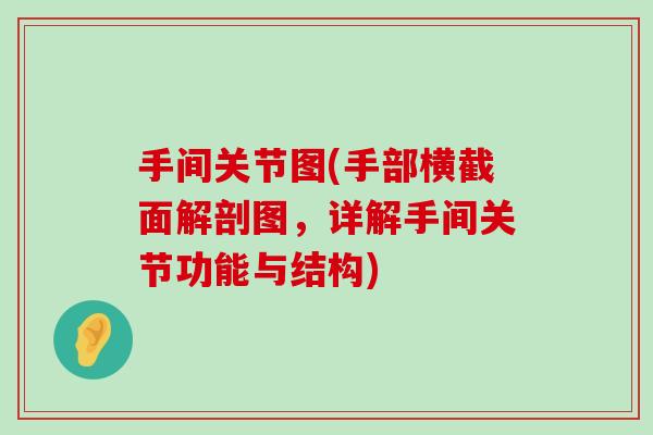 手间关节图(手部横截面解剖图,详解手间关节功能与结构)-第1张图片-氨糖科普网 手间关节图(手部横截面解剖图,详解手间关节功能与结构)-第1张图片-氨糖科普网