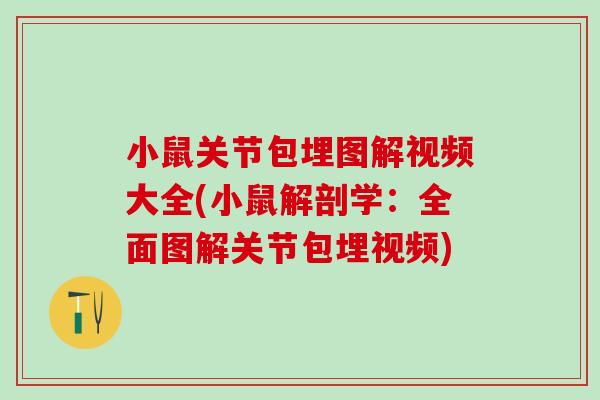 小鼠关节包埋图解视频大全(小鼠解剖学：全面图解关节包埋视频)-第1张图片-氨糖科普网