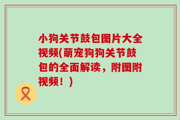 小狗关节鼓包图片大全视频(萌宠狗狗关节鼓包的全面解读，附图附视频！)-第1张图片-氨糖科普网