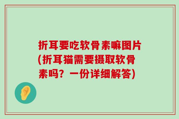 折耳要吃软骨素嘛图片(折耳猫需要摄取软骨素吗?一份详细解答)-第1张图片-氨糖科普网 折耳要吃软骨素嘛图片(折耳猫需要摄取软骨素吗?一份详细解答)-第1张图片-氨糖科普网