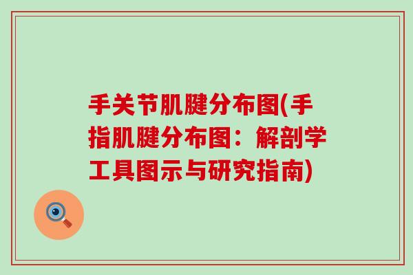 手关节肌腱分布图(手指肌腱分布图：解剖学工具图示与研究指南)-第1张图片-氨糖科普网