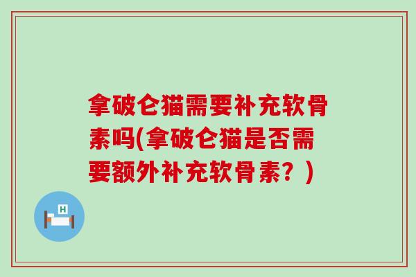拿破仑猫需要补充软骨素吗(拿破仑猫是否需要额外补充软骨素？)-第1张图片-氨糖科普网