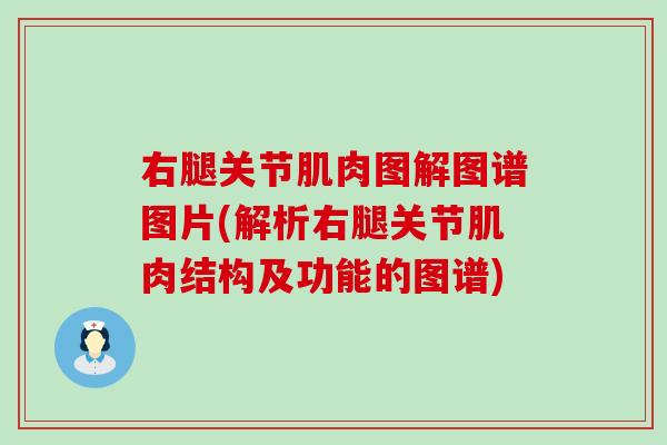 右腿关节肌肉图解图谱图片(解析右腿关节肌肉结构及功能的图谱)-第1张图片-氨糖科普网