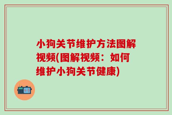 小狗关节维护方法图解视频(图解视频:如何维护小狗关节健康)-第1张图片-氨糖科普网 小狗关节维护方法图解视频(图解视频:如何维护小狗关节健康)-第1张图片-氨糖科普网