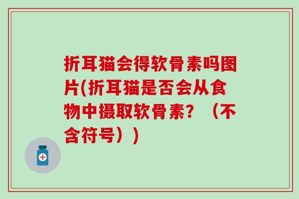 折耳猫会得软骨素吗图片(折耳猫是否会从食物中摄取软骨素?(不含符号))-第1张图片-氨糖科普网 折耳猫会得软骨素吗图片(折耳猫是否会从食物中摄取软骨素?(不含符号))-第1张图片-氨糖科普网