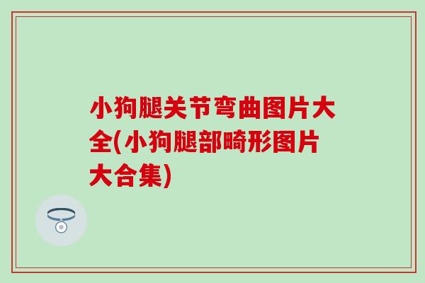 小狗腿关节弯曲图片大全(小狗腿部畸形图片大合集)-第1张图片-氨糖科普网 小狗腿关节弯曲图片大全(小狗腿部畸形图片大合集)-第1张图片-氨糖科普网