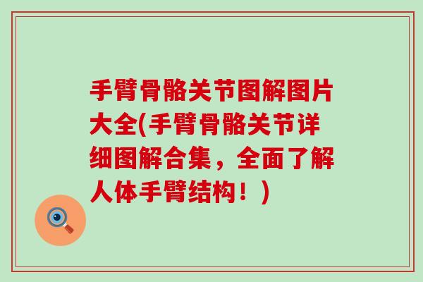手臂骨骼关节图解图片大全(手臂骨骼关节详细图解合集,全面了解人体手臂结构!)-第1张图片-氨糖科普网 手臂骨骼关节图解图片大全(手臂骨骼关节详细图解合集,全面了解人体手臂结构!)-第1张图片-氨糖科普网