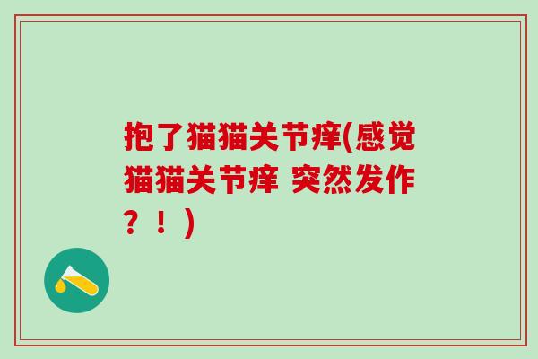 抱了猫猫关节痒(感觉猫猫关节痒 突然发作?!)-第1张图片-氨糖科普网 抱了猫猫关节痒(感觉猫猫关节痒 突然发作?!)-第1张图片-氨糖科普网
