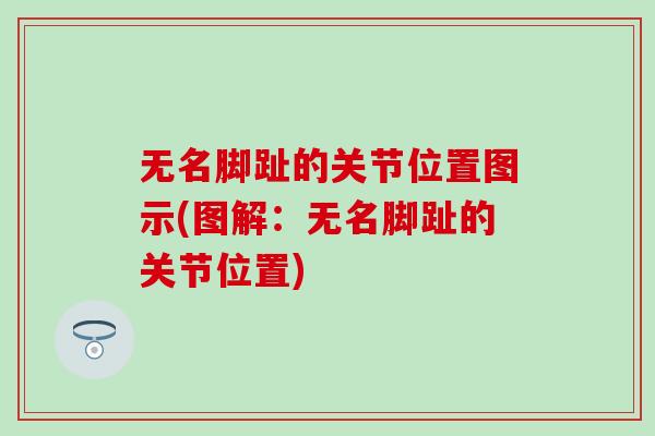 无名脚趾的关节位置图示(图解:无名脚趾的关节位置)-第1张图片-氨糖科普网 无名脚趾的关节位置图示(图解:无名脚趾的关节位置)-第1张图片-氨糖科普网