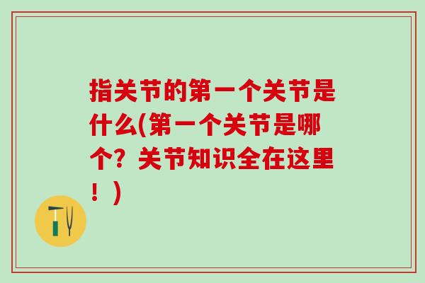 指关节的第一个关节是什么(第一个关节是哪个？关节知识全在这里！)-第1张图片-氨糖科普网