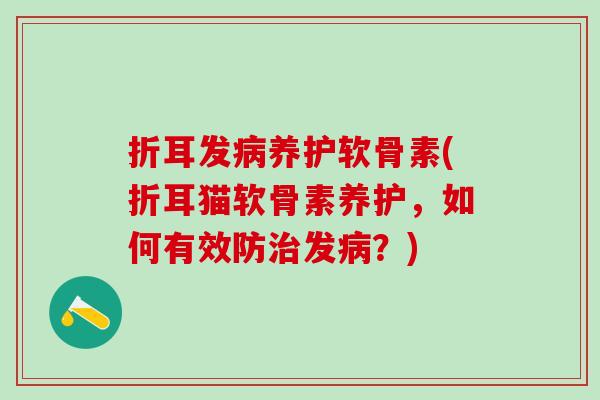 折耳发病养护软骨素(折耳猫软骨素养护,如何有效防治发病?)-第1张图片-氨糖科普网 折耳发病养护软骨素(折耳猫软骨素养护,如何有效防治发病?)-第1张图片-氨糖科普网