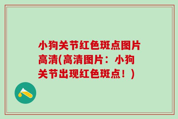 小狗关节红色斑点图片高清(高清图片:小狗关节出现红色斑点!)-第1张图片-氨糖科普网 小狗关节红色斑点图片高清(高清图片:小狗关节出现红色斑点!)-第1张图片-氨糖科普网