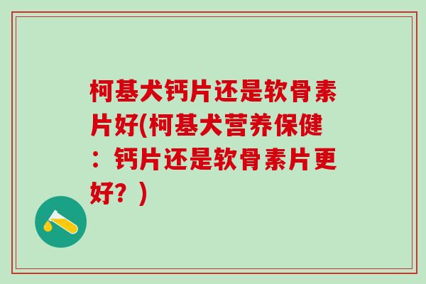 柯基犬钙片还是软骨素片好(柯基犬营养保健:钙片还是软骨素片更好?)-第1张图片-氨糖科普网 柯基犬钙片还是软骨素片好(柯基犬营养保健:钙片还是软骨素片更好?)-第1张图片-氨糖科普网