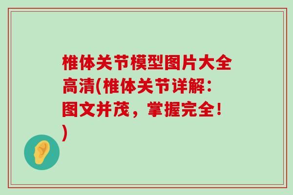 椎体关节模型图片大全高清(椎体关节详解:图文并茂,掌握完全!)-第1张图片-氨糖科普网 椎体关节模型图片大全高清(椎体关节详解:图文并茂,掌握完全!)-第1张图片-氨糖科普网