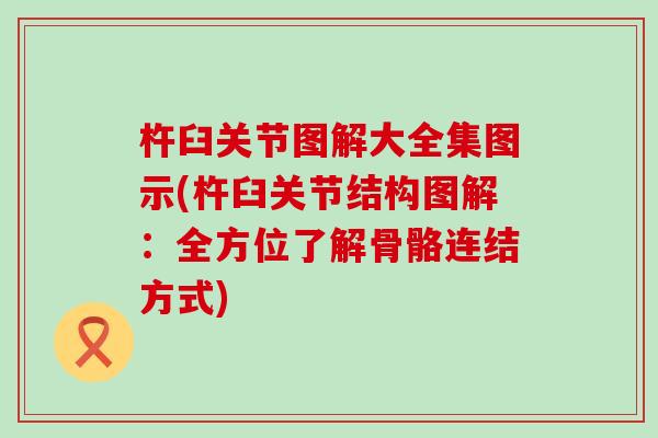 杵臼关节图解大全集图示(杵臼关节结构图解：全方位了解骨骼连结方式)-第1张图片-氨糖科普网