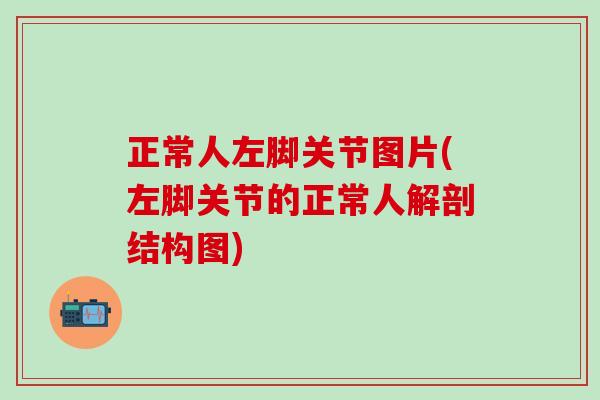 正常人左脚关节图片(左脚关节的正常人解剖结构图)-第1张图片-氨糖科普网