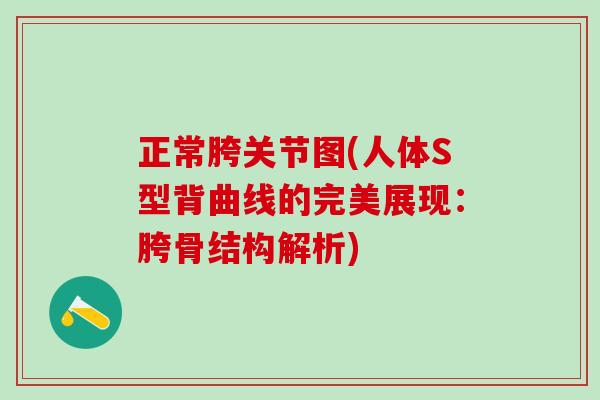 正常胯关节图(人体S型背曲线的完美展现:胯骨结构解析)-第1张图片-氨糖科普网 正常胯关节图(人体S型背曲线的完美展现:胯骨结构解析)-第1张图片-氨糖科普网