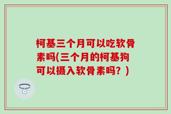 柯基三个月可以吃软骨素吗(三个月的柯基狗可以摄入软骨素吗?)-第1张图片-氨糖科普网 柯基三个月可以吃软骨素吗(三个月的柯基狗可以摄入软骨素吗?)-第1张图片-氨糖科普网