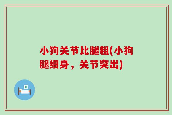 小狗关节比腿粗(小狗腿细身,关节突出)-第1张图片-氨糖科普网 小狗关节比腿粗(小狗腿细身,关节突出)-第1张图片-氨糖科普网