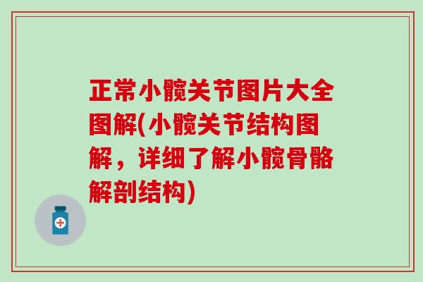 正常小髋关节图片大全图解(小髋关节结构图解，详细了解小髋骨骼解剖结构)-第1张图片-氨糖科普网