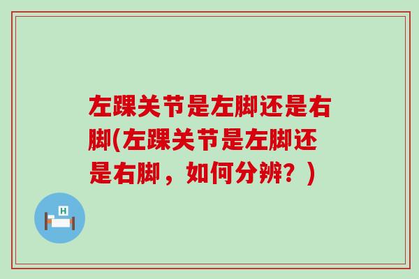 左踝关节是左脚还是右脚(左踝关节是左脚还是右脚,如何分辨?)-第1张图片-氨糖科普网 左踝关节是左脚还是右脚(左踝关节是左脚还是右脚,如何分辨?)-第1张图片-氨糖科普网