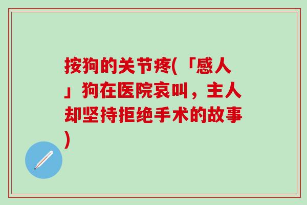 按狗的关节疼(「感人」狗在医院哀叫,主人却坚持拒绝手术的故事)-第1张图片-氨糖科普网 按狗的关节疼(「感人」狗在医院哀叫,主人却坚持拒绝手术的故事)-第1张图片-氨糖科普网