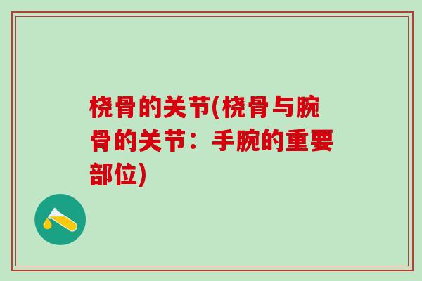 桡骨的关节(桡骨与腕骨的关节:手腕的重要部位)-第1张图片-氨糖科普网 桡骨的关节(桡骨与腕骨的关节:手腕的重要部位)-第1张图片-氨糖科普网