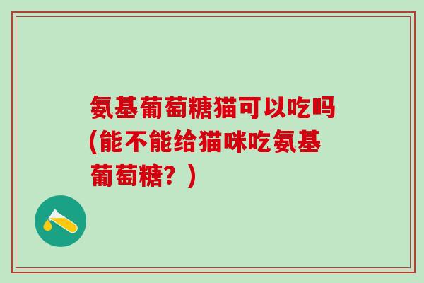 氨基葡萄糖猫可以吃吗(能不能给猫咪吃氨基葡萄糖？)-第1张图片-氨糖科普网