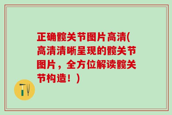 正确髋关节图片高清(高清清晰呈现的髋关节图片,全方位解读髋关节构造!)-第1张图片-氨糖科普网 正确髋关节图片高清(高清清晰呈现的髋关节图片,全方位解读髋关节构造!)-第1张图片-氨糖科普网