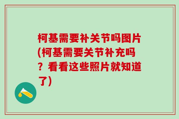 柯基需要补关节吗图片(柯基需要关节补充吗?看看这些照片就知道了)-第1张图片-氨糖科普网 柯基需要补关节吗图片(柯基需要关节补充吗?看看这些照片就知道了)-第1张图片-氨糖科普网