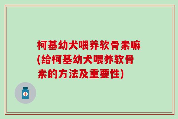 柯基幼犬喂养软骨素嘛(给柯基幼犬喂养软骨素的方法及重要性)-第1张图片-氨糖科普网 柯基幼犬喂养软骨素嘛(给柯基幼犬喂养软骨素的方法及重要性)-第1张图片-氨糖科普网