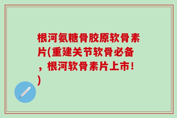 根河氨糖骨胶原软骨素片(重建关节软骨必备,根河软骨素片上市!)-第1张图片-氨糖科普网 根河氨糖骨胶原软骨素片(重建关节软骨必备,根河软骨素片上市!)-第1张图片-氨糖科普网