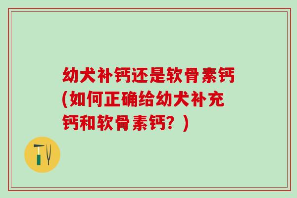 幼犬补钙还是软骨素钙(如何正确给幼犬补充钙和软骨素钙？)-第1张图片-氨糖科普网