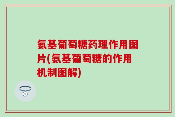 氨基葡萄糖药理作用图片(氨基葡萄糖的作用机制图解)-第1张图片-氨糖科普网