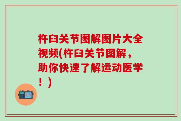 杵臼关节图解图片大全视频(杵臼关节图解,助你快速了解运动医学!)-第1张图片-氨糖科普网 杵臼关节图解图片大全视频(杵臼关节图解,助你快速了解运动医学!)-第1张图片-氨糖科普网