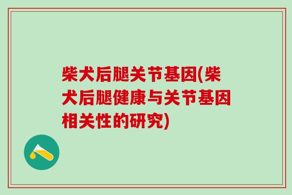 柴犬后腿关节基因(柴犬后腿健康与关节基因相关性的研究)-第1张图片-氨糖科普网 柴犬后腿关节基因(柴犬后腿健康与关节基因相关性的研究)-第1张图片-氨糖科普网