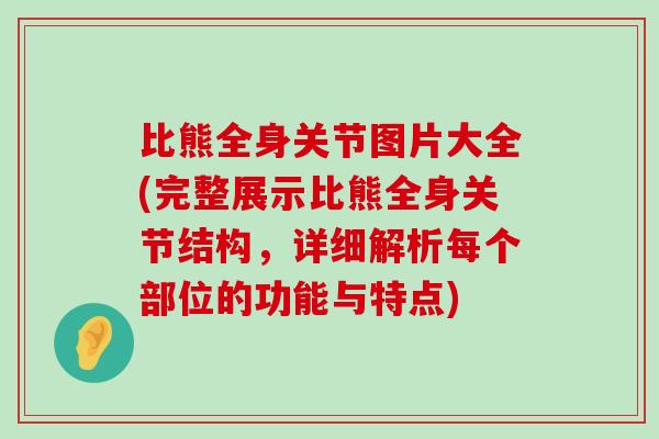 比熊全身关节图片大全(完整展示比熊全身关节结构,详细解析每个部位的功能与特点)-第1张图片-氨糖科普网 比熊全身关节图片大全(完整展示比熊全身关节结构,详细解析每个部位的功能与特点)-第1张图片-氨糖科普网