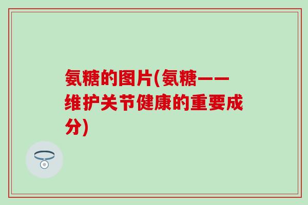 氨糖的图片(氨糖——维护关节健康的重要成分)-第1张图片-氨糖科普网