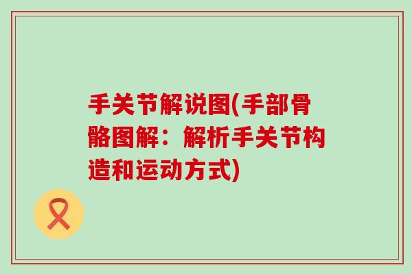 手关节解说图(手部骨骼图解：解析手关节构造和运动方式)-第1张图片-氨糖科普网
