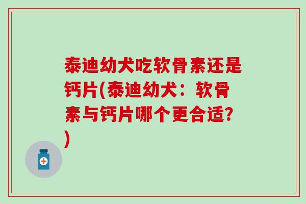 泰迪幼犬吃软骨素还是钙片(泰迪幼犬:软骨素与钙片哪个更合适?)-第1张图片-氨糖科普网 泰迪幼犬吃软骨素还是钙片(泰迪幼犬:软骨素与钙片哪个更合适?)-第1张图片-氨糖科普网