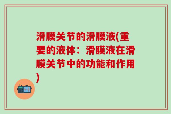 滑膜关节的滑膜液(重要的液体：滑膜液在滑膜关节中的功能和作用)-第1张图片-氨糖科普网