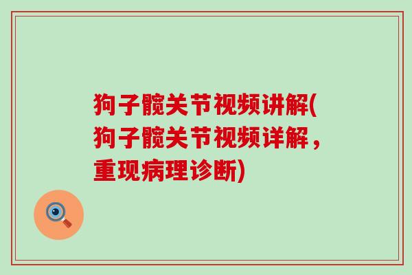 狗子髋关节视频讲解(狗子髋关节视频详解,重现病理诊断)-第1张图片-氨糖科普网 狗子髋关节视频讲解(狗子髋关节视频详解,重现病理诊断)-第1张图片-氨糖科普网