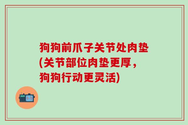 狗狗前爪子关节处肉垫(关节部位肉垫更厚，狗狗行动更灵活)-第1张图片-氨糖科普网